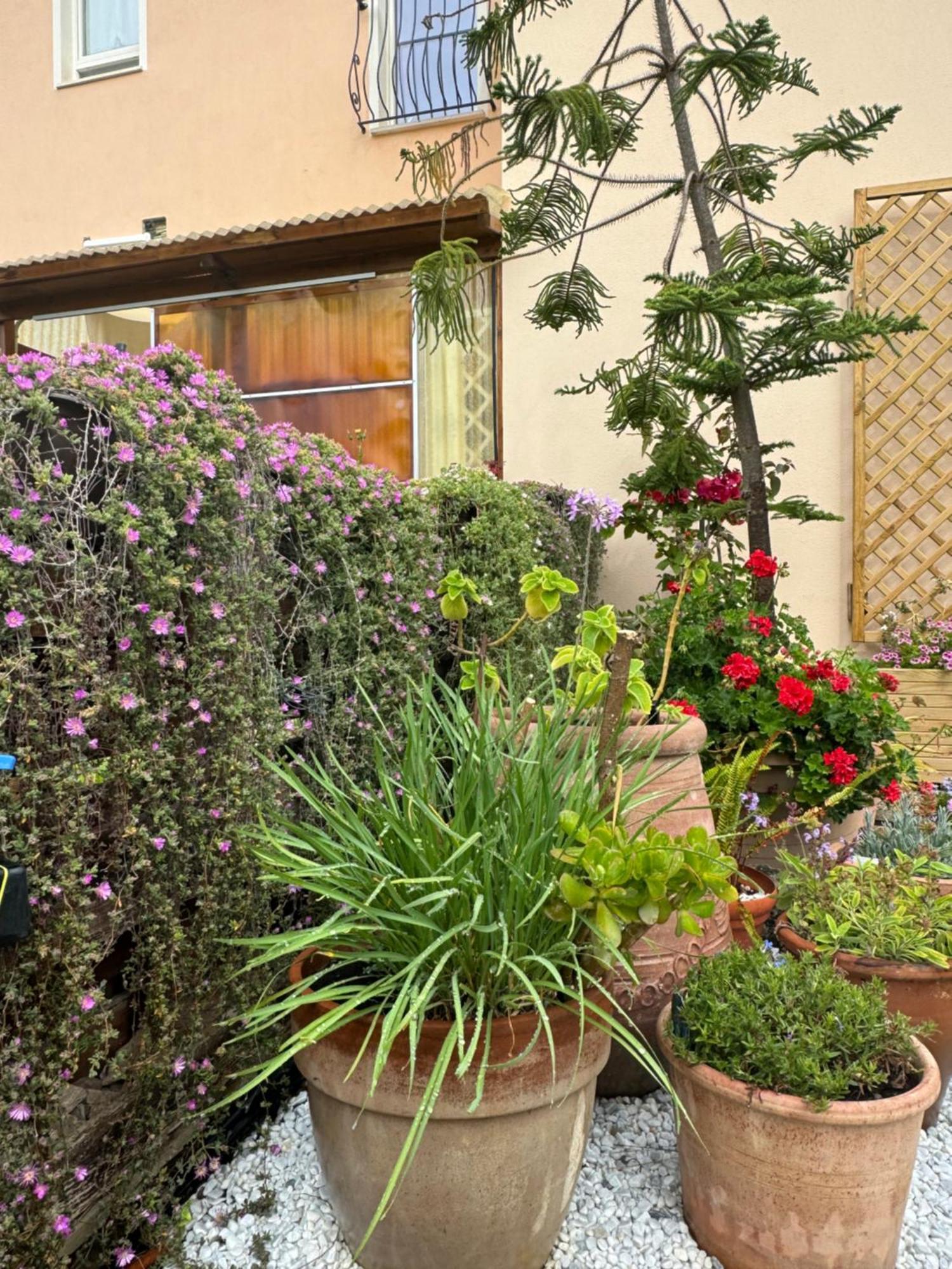 Villa Dei Fiori - Casa Vacanza Capoterra Exterior photo